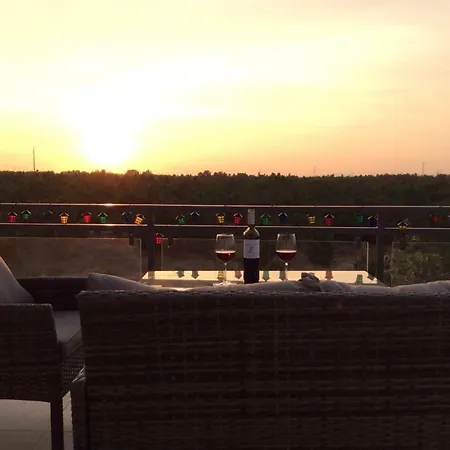 Paradise Terrace House *