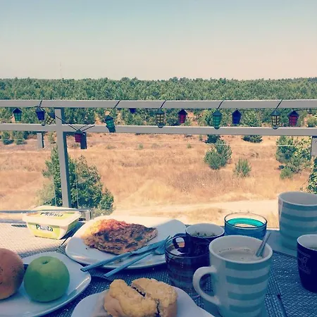 Paradise Terrace House